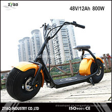 Motocicleta eléctrica 800W 60V de la ciudad de la manera para el adulto